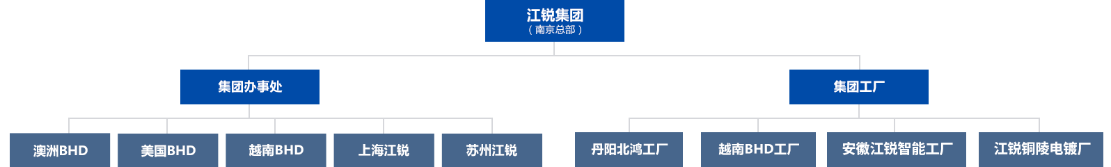 公司结构